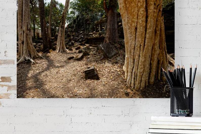 Trees & Roots of Ta Prohm – Cambodia by Taylor Ehat Photography
