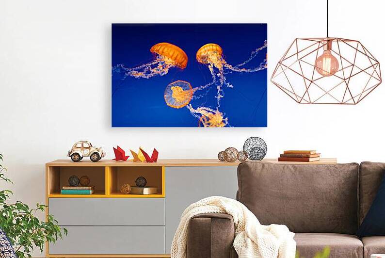 Jellyfish Nightlight by Taylor Ehat Photography