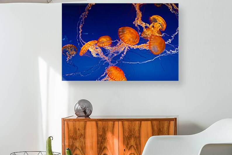 Jellyfish Nightlight by Taylor Ehat Photography