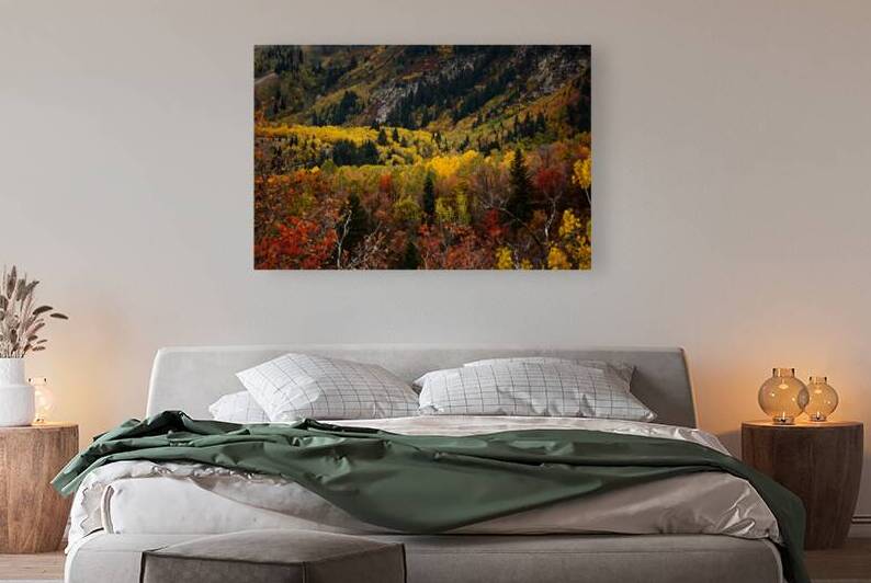 Light Over Fall Colors - Timpanogos Wilderness Utah by Taylor Ehat Photography