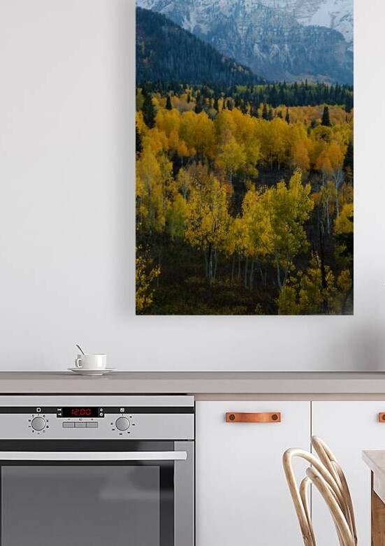 Timpanogos Wilderness Fall Colors - Utah by Taylor Ehat Photography