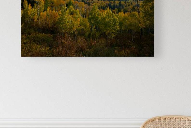 Fall at Timpanogos Wilderness - Alpine Loop Utah by Taylor Ehat Photography