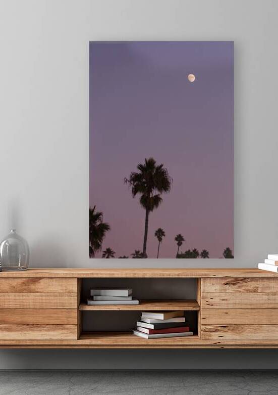 Palm Trees & Purple Skies Reproduction