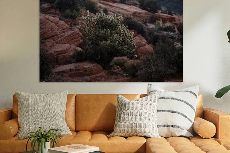 2022 ut gunlock falls morning cholla 2A2B4722 by Taylor Ehat Photography
