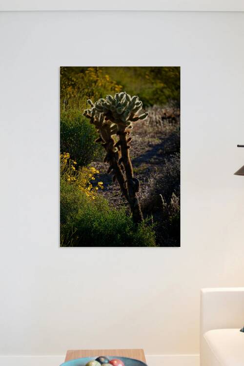 2022 az red mountain hike 2A2B5449 by Taylor Ehat Photography