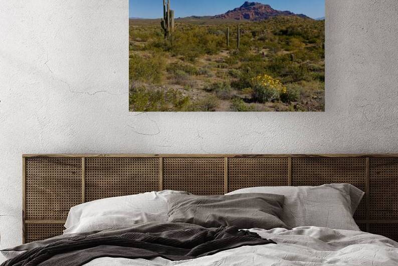 2022 az red mountain hike 2A2B5503 by Taylor Ehat Photography