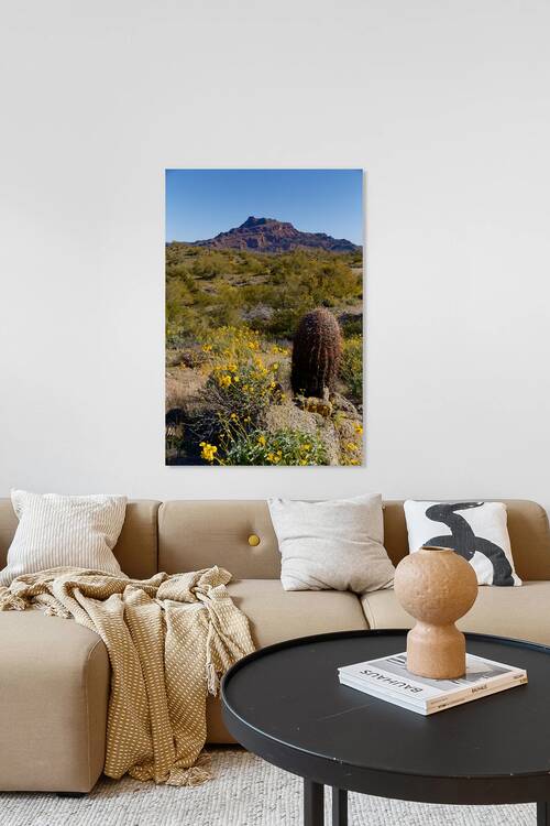 2022 az red mountain hike 2A2B5483 by Taylor Ehat Photography