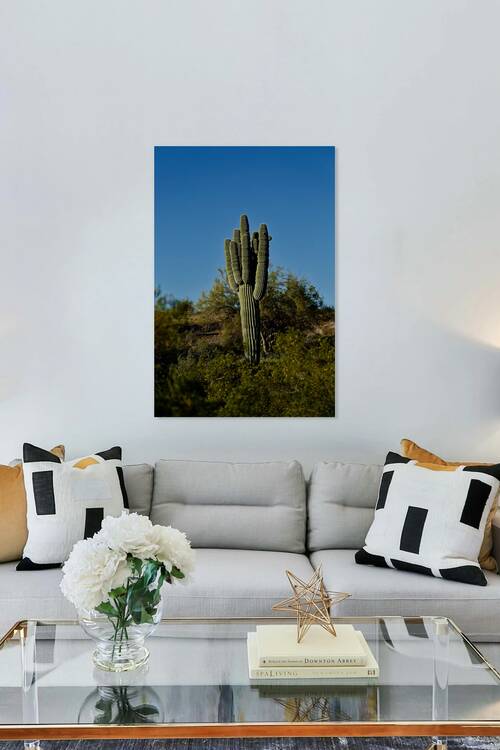 2022 az red mountain hike 2A2B5418 by Taylor Ehat Photography