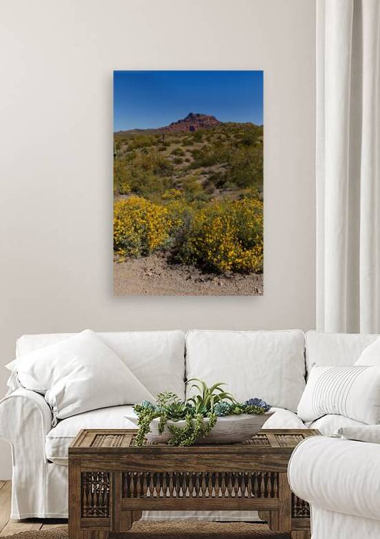 2022 az red mountain hike 2A2B5568 by Taylor Ehat Photography
