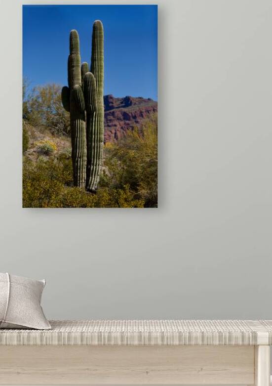 2022 az red mountain hike 2A2B5528 by Taylor Ehat Photography