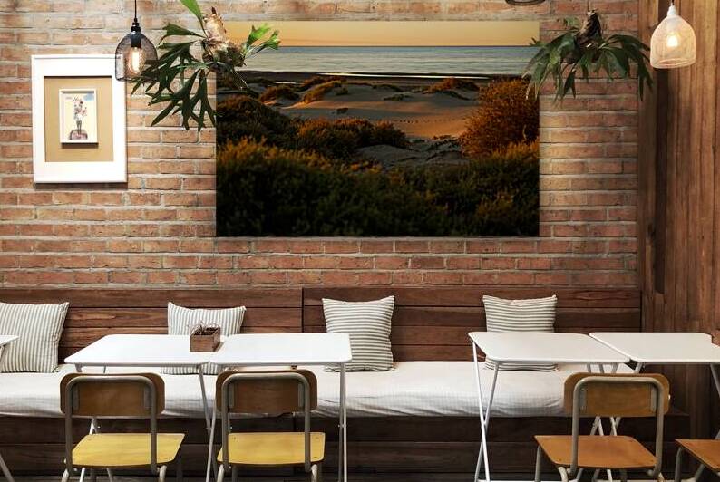 2023 puerto penasco sunrise desertscape 2A2B5929. by Taylor Ehat Photography