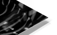 Zebra Stripes – B&W HD Metal print