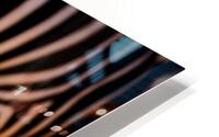 Zebra Close-up HD Metal print
