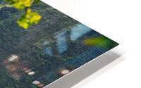 Window to Hanakapiai Falls HD Metal print