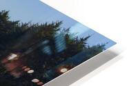 Cape Arago Light & Shadows HD Metal print