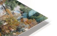 Fall Colors HD Metal print