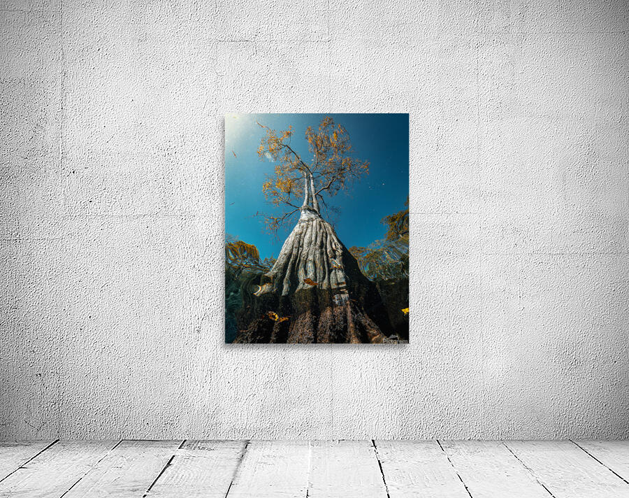 Look up Wall Preview