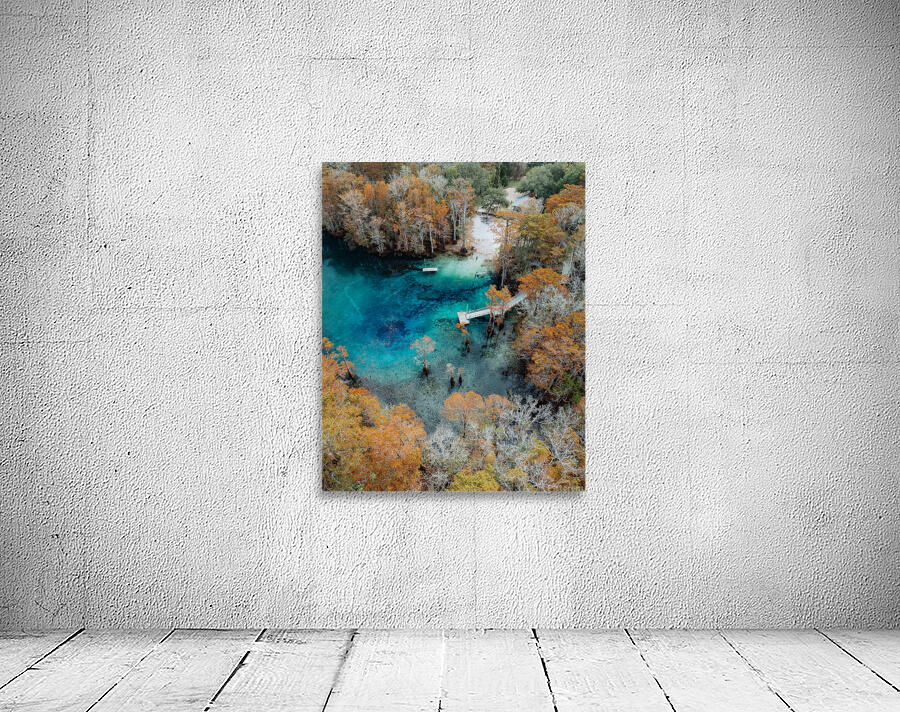 Fall Colors Wall Preview