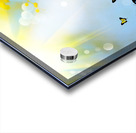 Spring butterfly Acrylic print