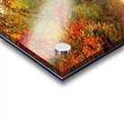 painting Acrylic print