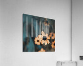 spring Flower Acrylic Print