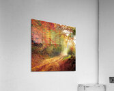 painting Acrylic Print