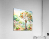 Attractive fruit garden. Acrylic Print