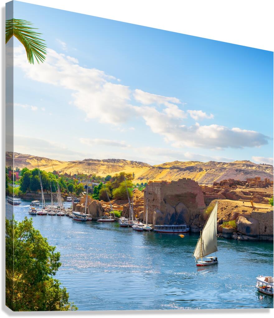 The Nile River Canvas Print