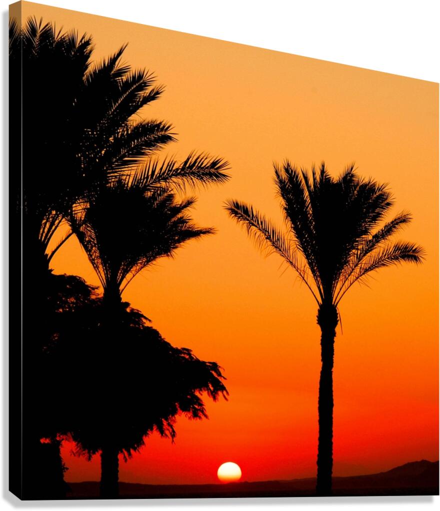 the beautiful nature Canvas Print