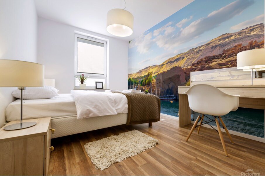 The Nile River Mural print
