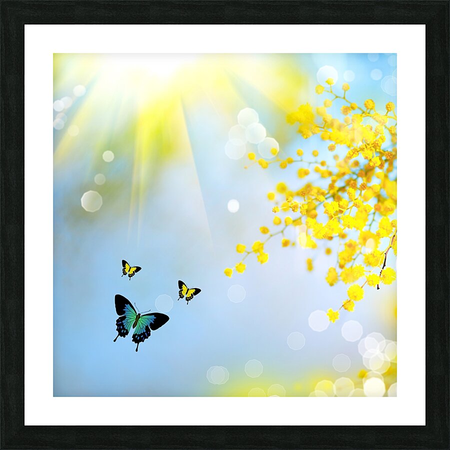Spring butterfly Picture Frame print