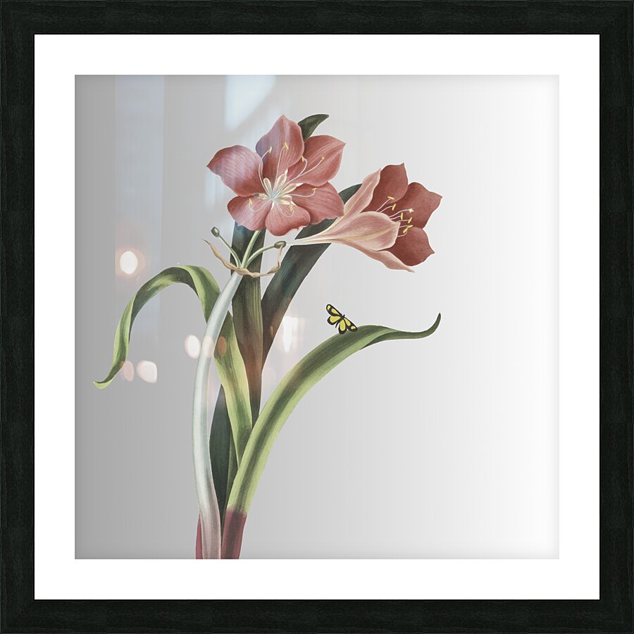 Al-Juri responded Picture Frame print