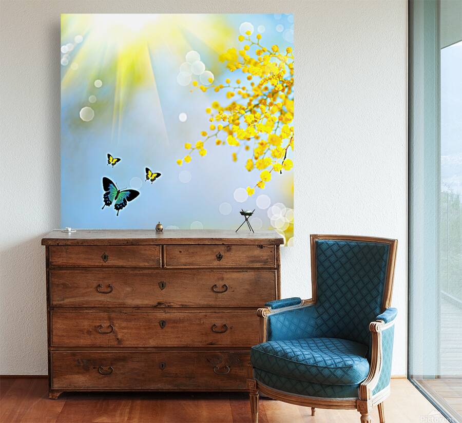 Spring butterfly Reproduction