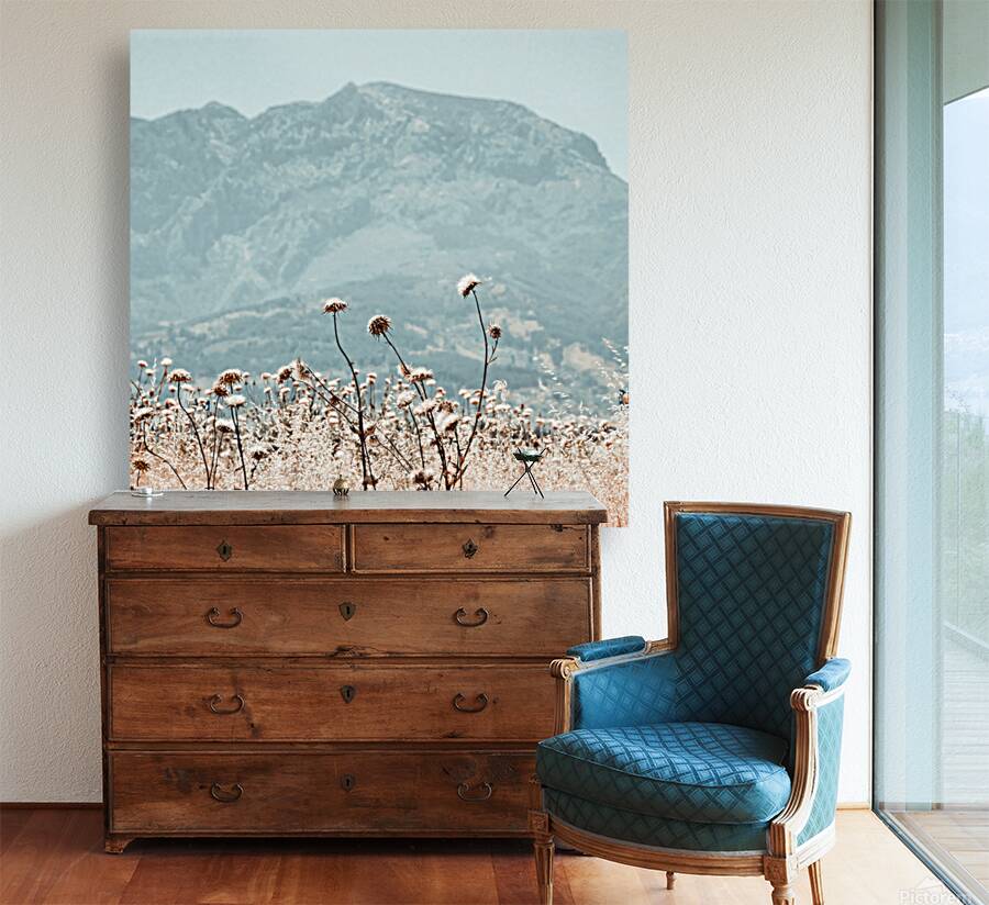Desert trees Reproduction