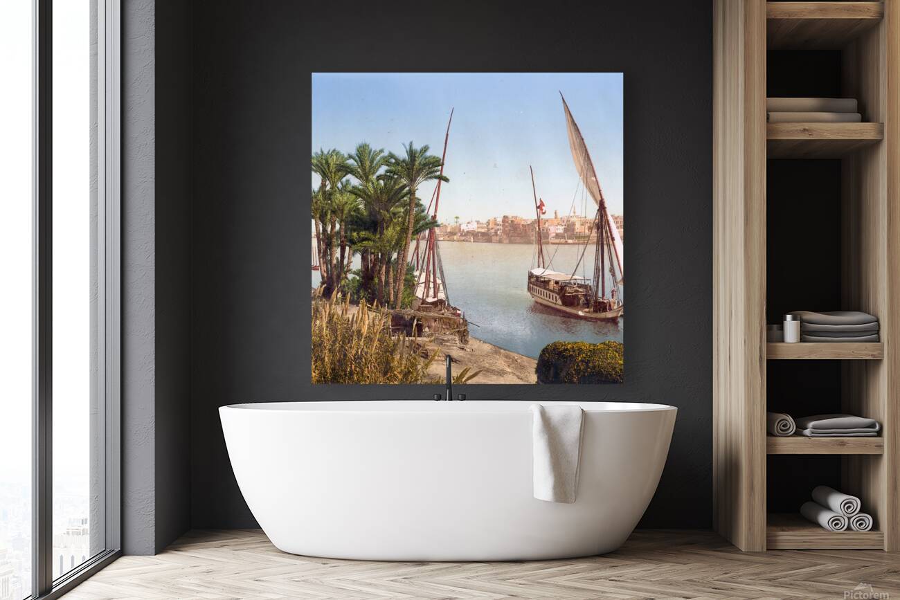 Egypt River Reproduction
