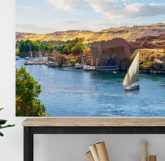 The Nile River Reproduction
