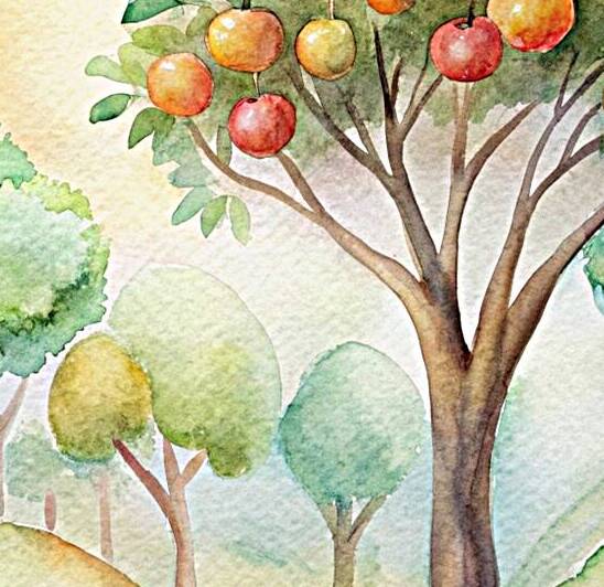 Attractive fruit garden. Reproduction