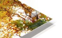 painting HD Metal print