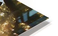 Desert House HD Metal print