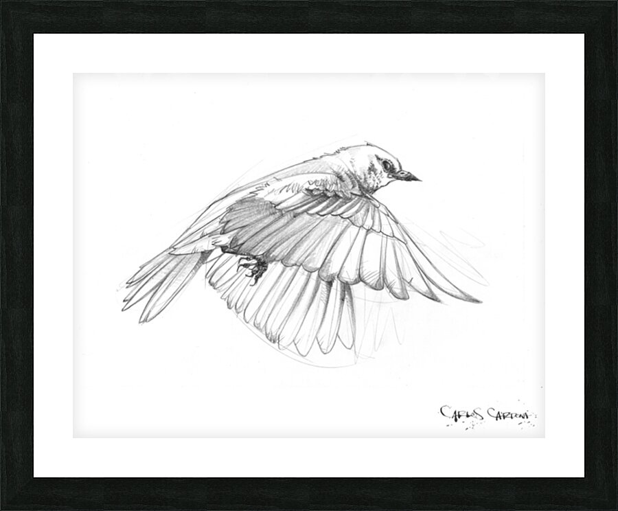 Snow Bird 01 Picture Frame print