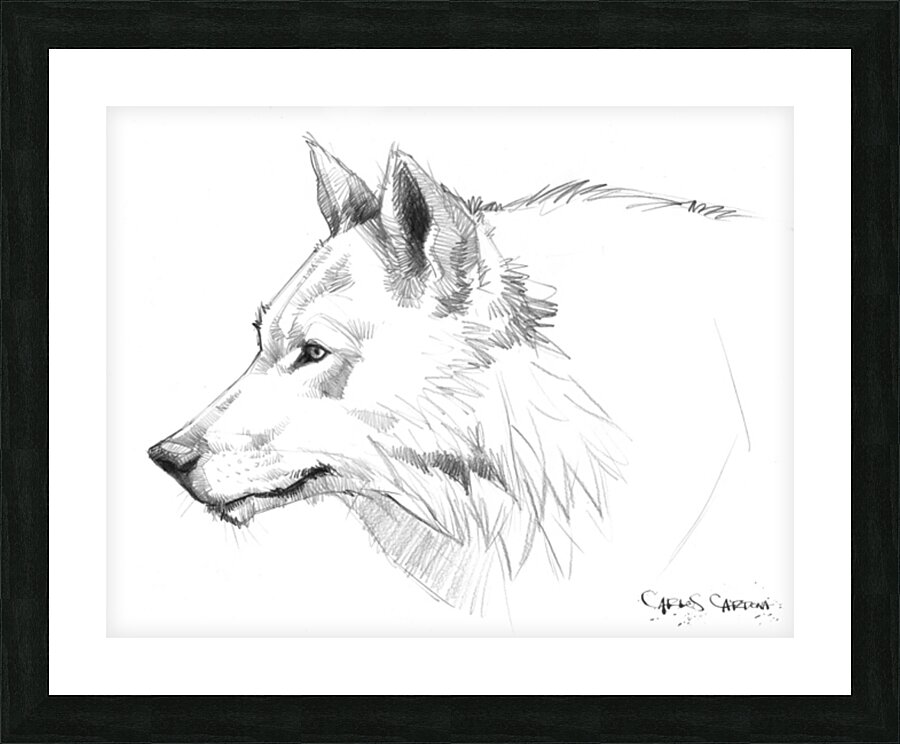 Wolf 02 Picture Frame print