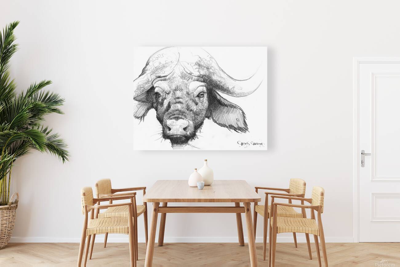 Buffalo 02 Reproduction