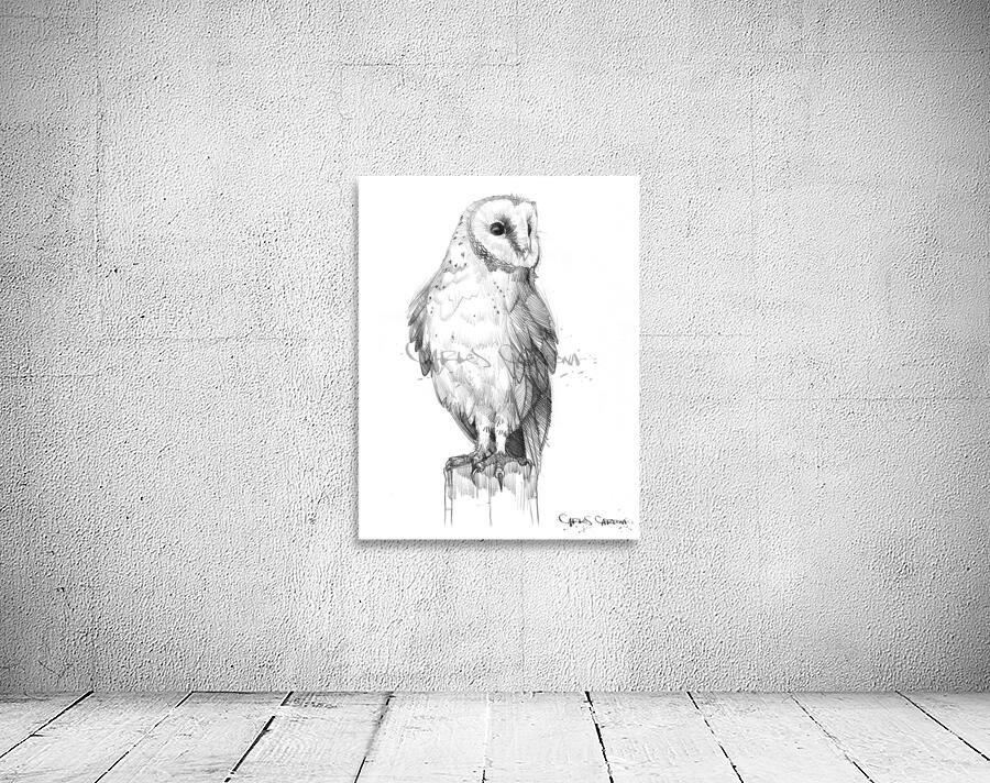 Barn Owl 02 Wall Preview