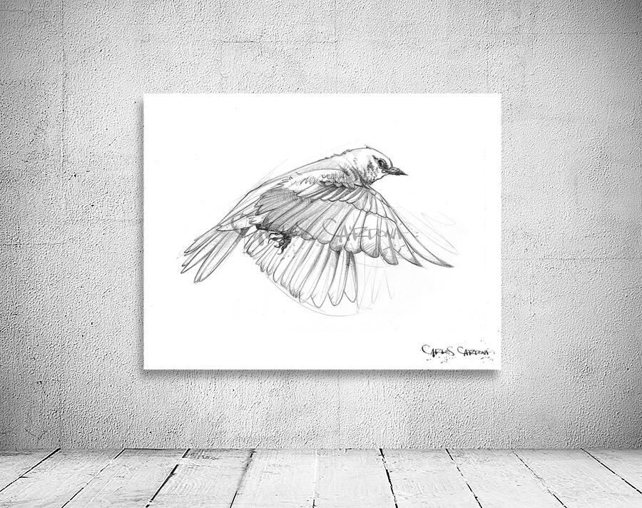 Snow Bird 01 Wall Preview