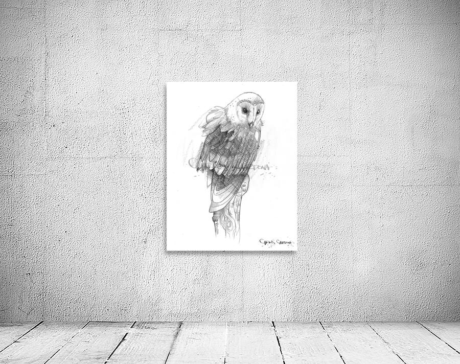 Barn Owl 01 Wall Preview