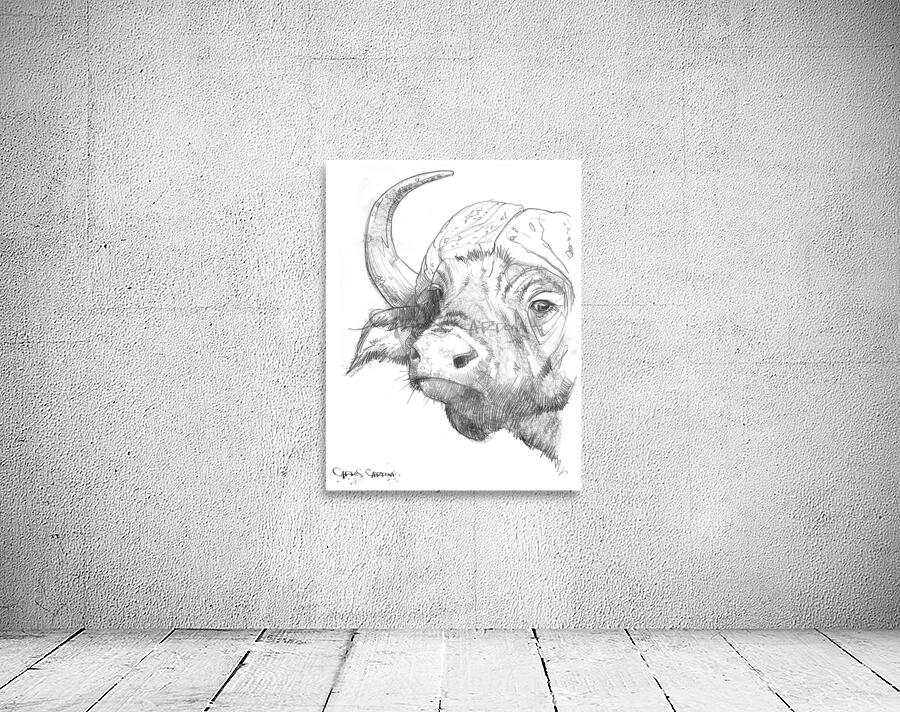 Buffalo 01 Wall Preview