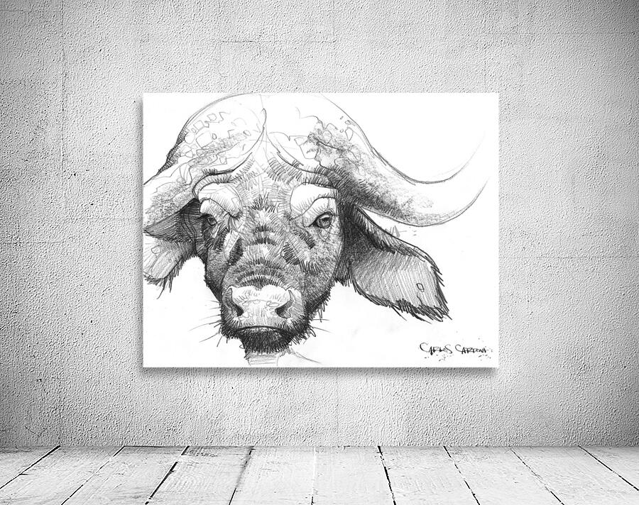 Buffalo 02 Wall Preview