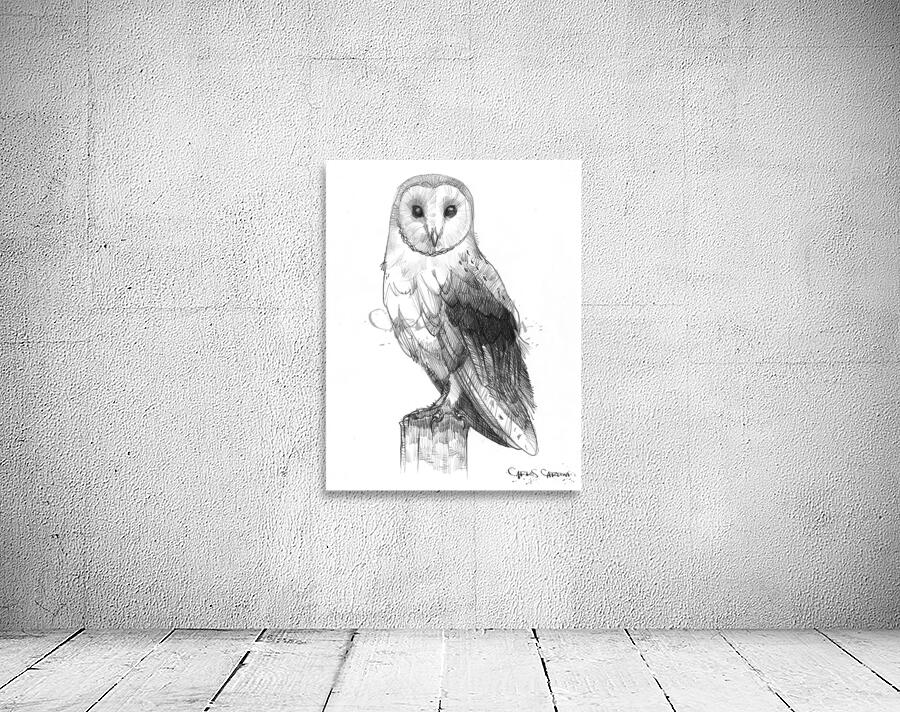 Barn Owl 03 Wall Preview