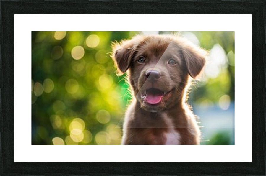 ESA Letter Picture Frame print