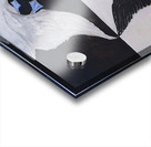 Hilma af Klint - The Swan No. 01 Group IX-SUW  Acrylic print